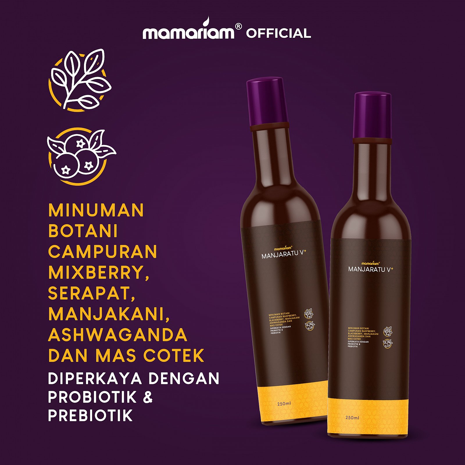 3 BOTOL MANJARATU V+